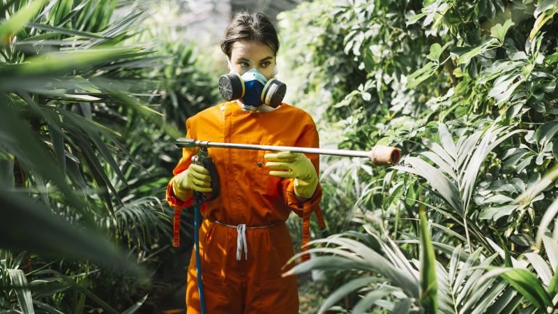 Métodos Eficazes para Controle de Insetos e Proteção do Seu Ambiente